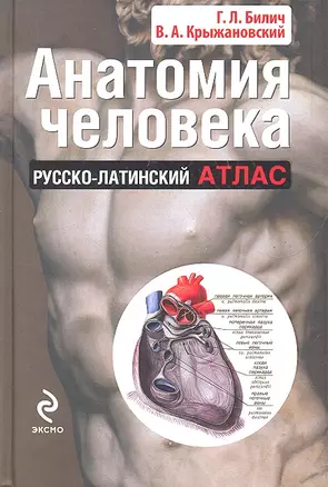 Анатомия человека: русско-латинский атлас — 2327557 — 1