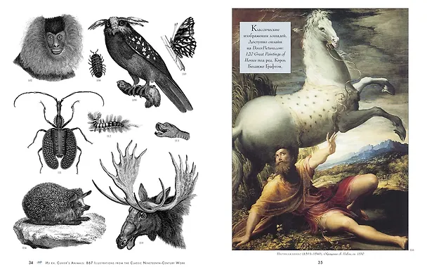 Книга Анималистика. Образы & фантазии. История изящных искусств для творческих личностей (Кэрол Беланже Графтон) — 7