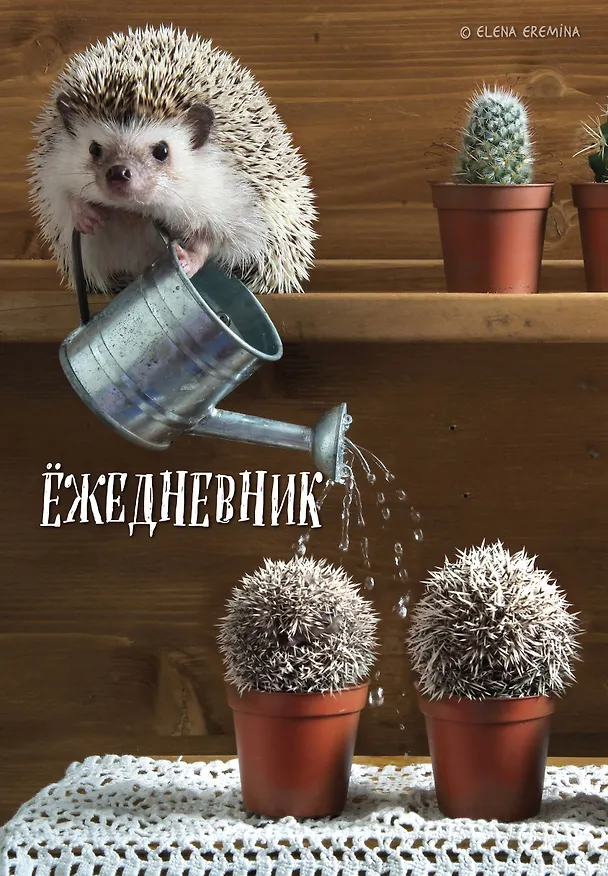 Ежедневник недат. А5 72л "Ёжедневник. Блокнот для людей и ежей (садовод)" 3059253 — 1