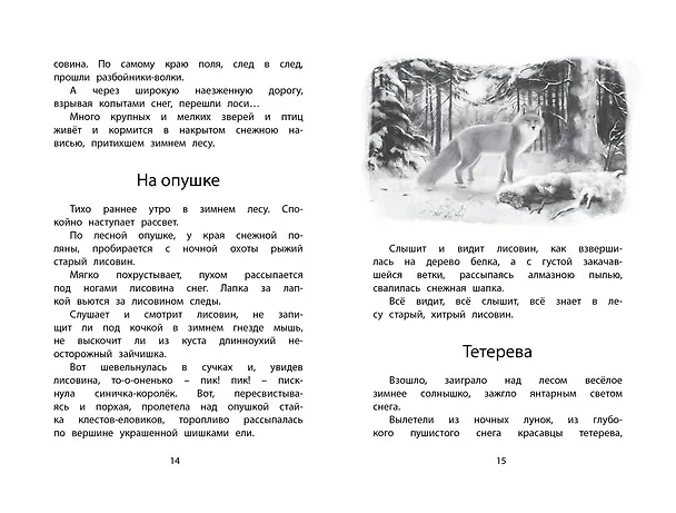 Книга Год в лесу (Иван Соколов-Микитов) — 9