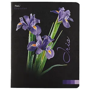 Тетрадь в клетку Hatber, Flower on black, 48 листов, в ассортименте