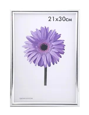 Рамка Maria Серебро 21*30см пластиковая 328636