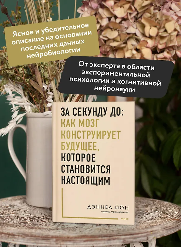 Книга За секунду до: как мозг конструирует будущее, которое становится настоящим (Дэниел Йон) — 6