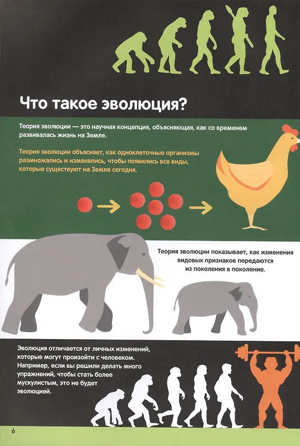 Книга Эволюция. Инфографика (Харриет Брандл) — 5
