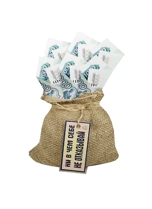 Сувенир Прикольный денежный мешок №2 Ни в чем себе не отказывай NU00000007 2463995