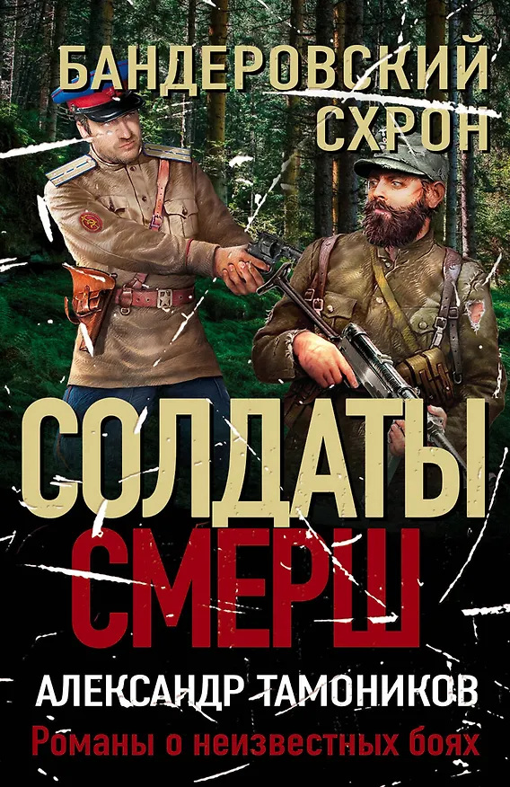 Книга Бандеровский схрон (Александр Тамоников) — 1