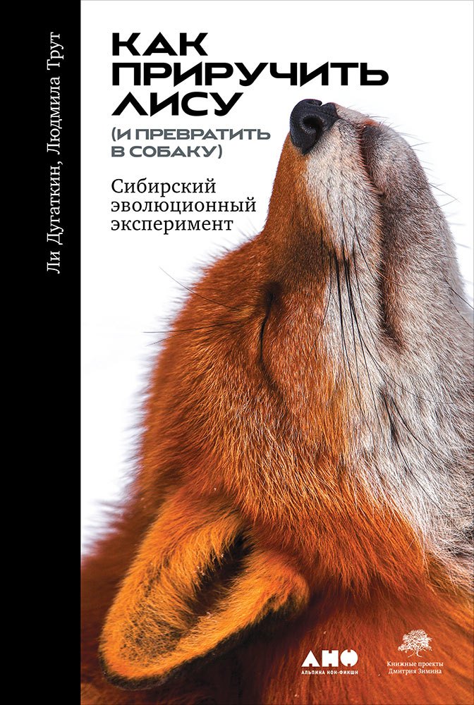 

Как приручить лису (и превратить в собаку): Сибирский эволюционный эксперимент