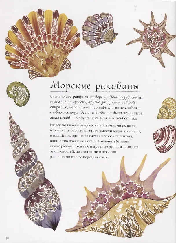 Книга Жизнь в океане (Хелен Апорнсири) — 8