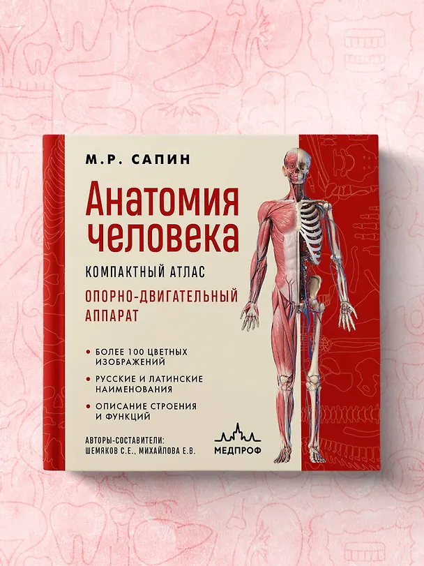 Книга Анатомия человека. Компактный атлас. Опорно-двигательный аппарат (Михаил Сапин) — 9