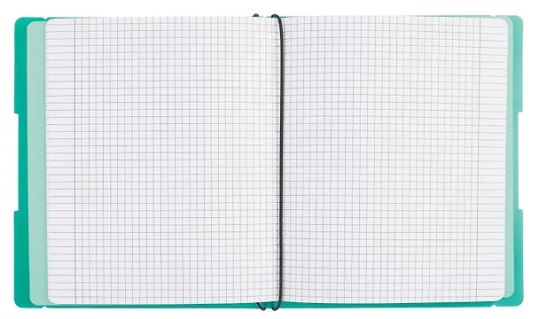 Тетрадь общая «DoubleBook. Еловый», 96 листов в клетку, А5 - Listoff 3090724 — 4