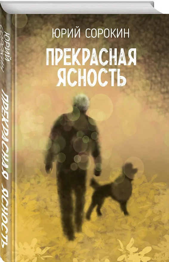 Книга Прекрасная ясность (Юрий Сорокин) — 4
