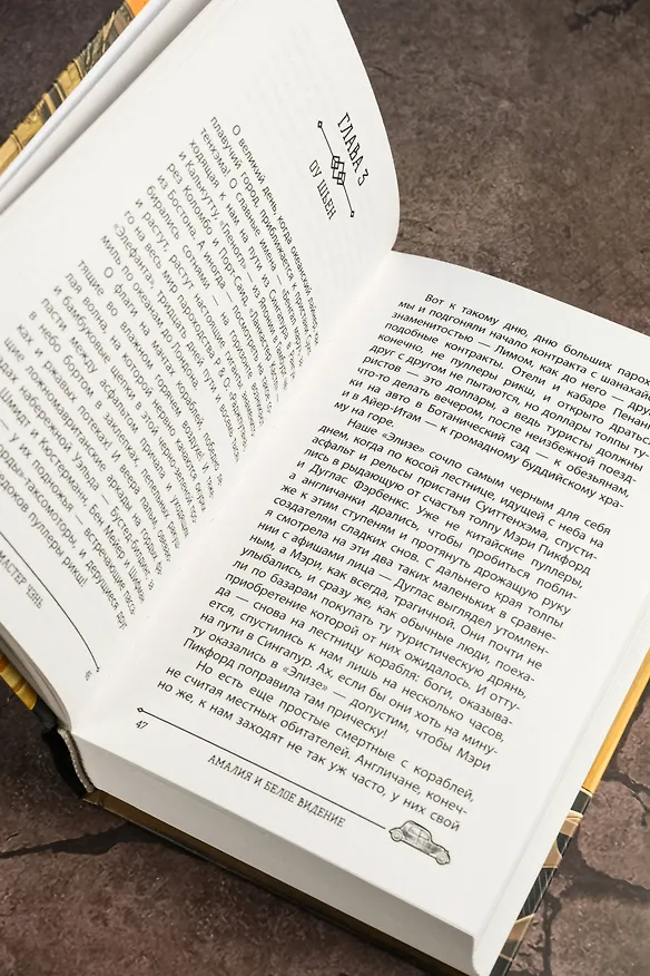 Книга Амалия и Белое видение (Чэнь Мастер) — 12