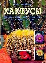 Кактусы: Все, что нужно знать о кактусах и об уходе за ними