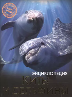 Киты и дельфины — 2497473 — 1