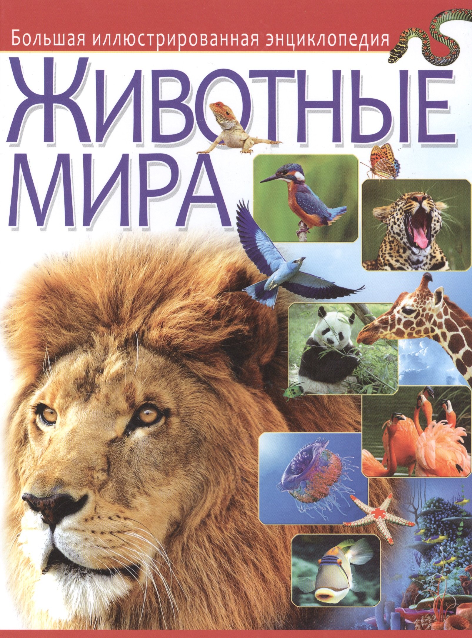 

Животные мира. Большая иллюстрированная энциклопедия