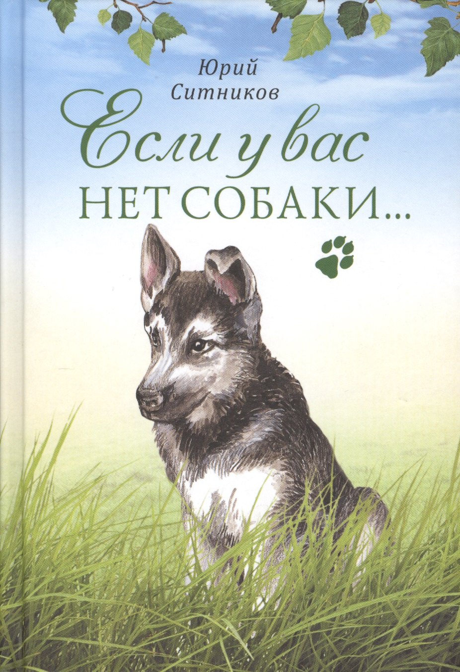 

Если у вас нет собаки (Ситников)