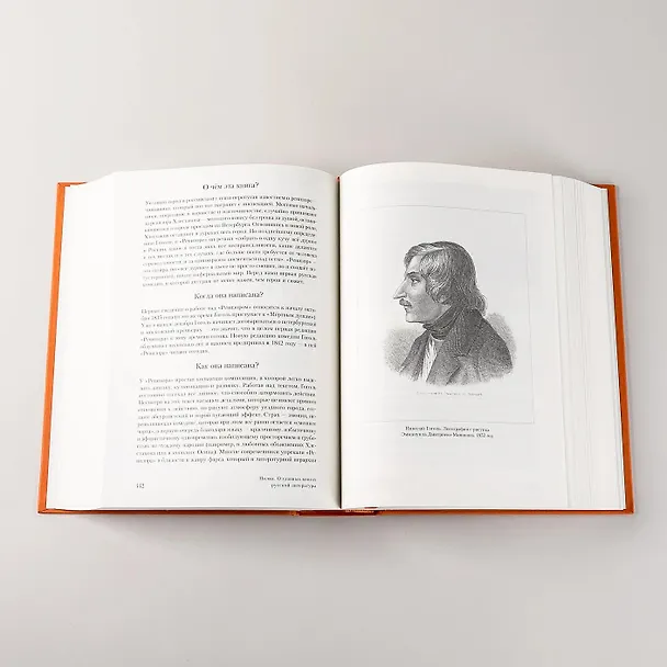 Книга [2 тома] Полка: О главных книгах русской литературы (Варвара Бабицкая, Михаил Велижев, Виктория Гендлина) — 3