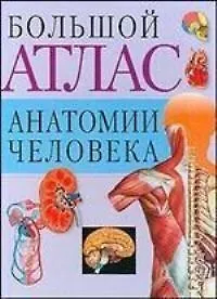 Книга Атлас анат.чел.(св.бол)60х90/8 (Владимир Воробьев)