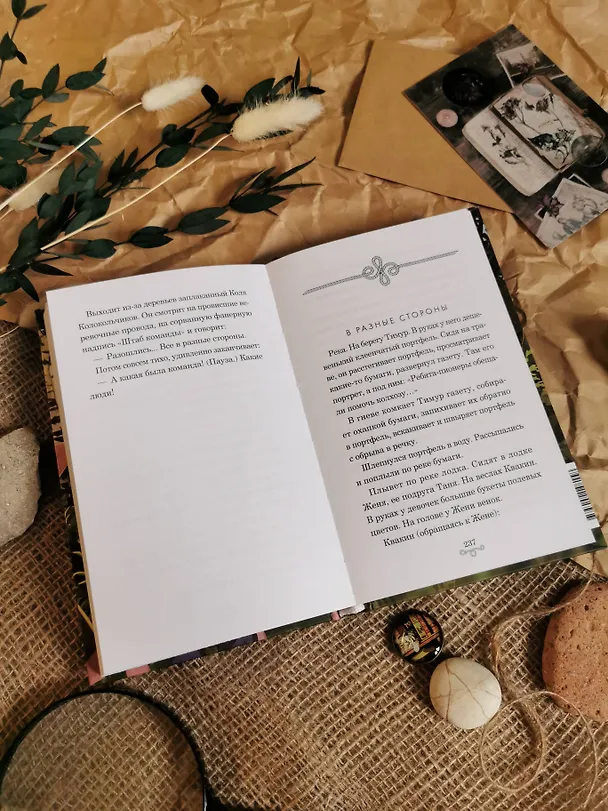 Книга Тимур и его команда (Аркадий Гайдар) — 12