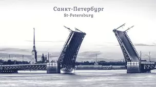 Пакет "Вид Дворцового моста/Мост белый" 11*17*6 (16,5*9*6,5см) / 17(16,5)*9*6,5см — 326867 — 1