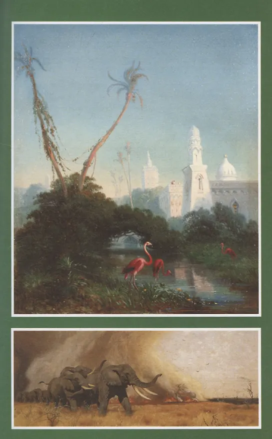 Книга Через дебри и пустыни. Том 2 (Софи Ворисгофер) — 4
