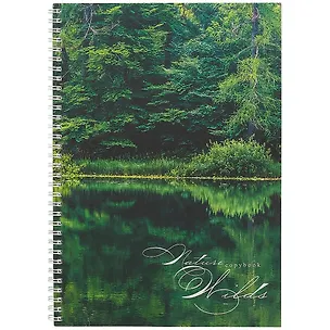 Тетрадь в клетку Unnika, "Изумрудный лес", А4, 96 листов 251204