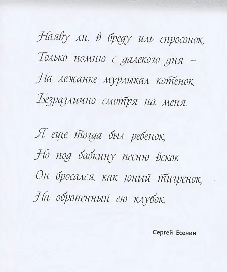 Книга Релакс-раскраска. Магия кошек () — 5