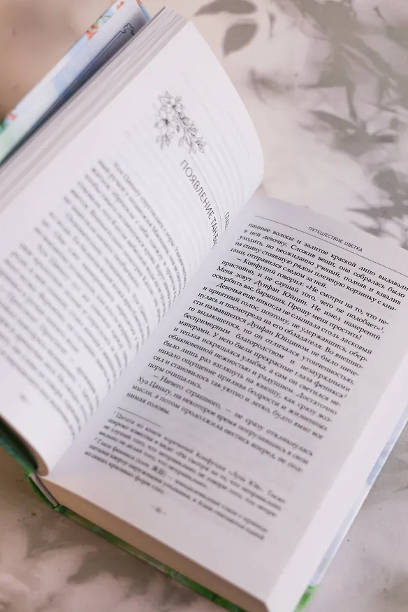 Книга Путешествие цветка. Книга 1 (The Journey of Flower). Новелла (издание с суперобложкой) (Го Го) — 20