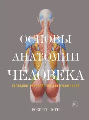 Основы анатомии человека. Наглядное руководство для художников — 2818419 — 1