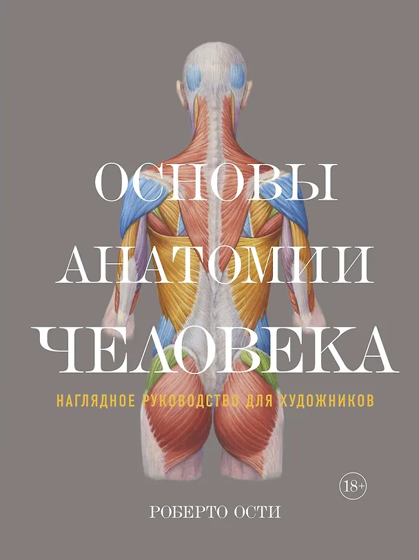 Книга Основы анатомии человека. Наглядное руководство для художников (Роберто Ости) — 1
