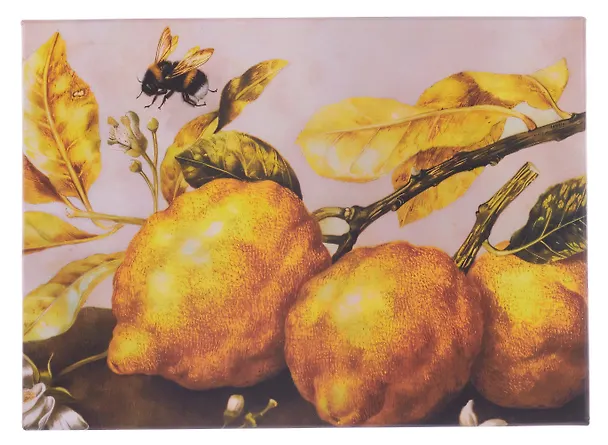 Коробка подарочная "ART. Гарцони Д. Натюрморт с лимонами" 22*16*7, Schiller 3113997 — 5