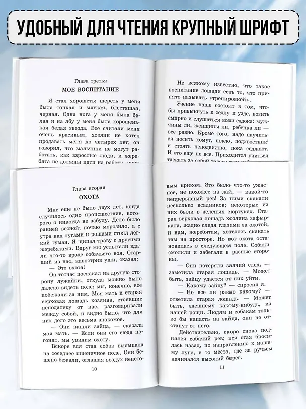 Книга Черный красавчик (Анна Сьюэлл) — 5