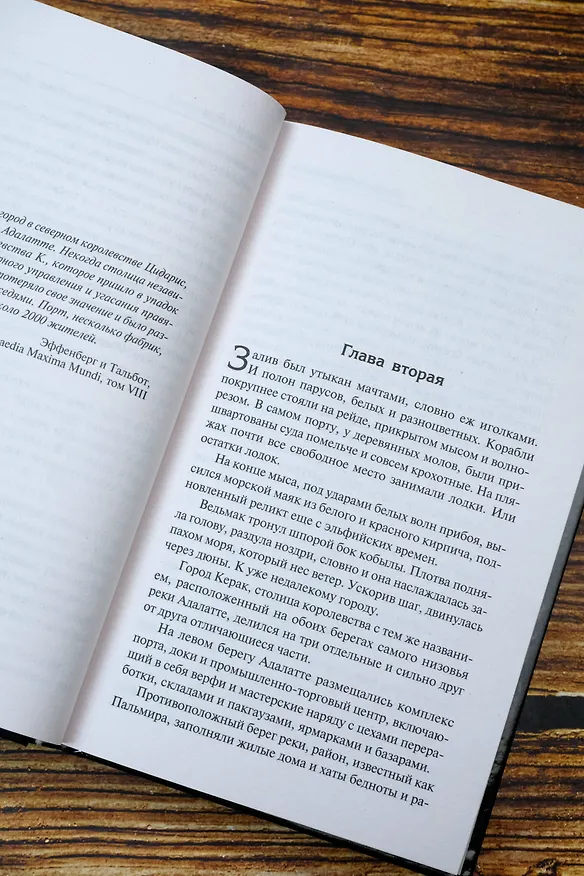 Книга Сезон гроз (Анджей Сапковский) — 8