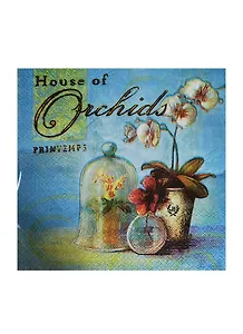 Набор д/творчества Салфетки д/декупажа 33*33см 20шт 3-х слойные House of Orchids (AY-1205)
