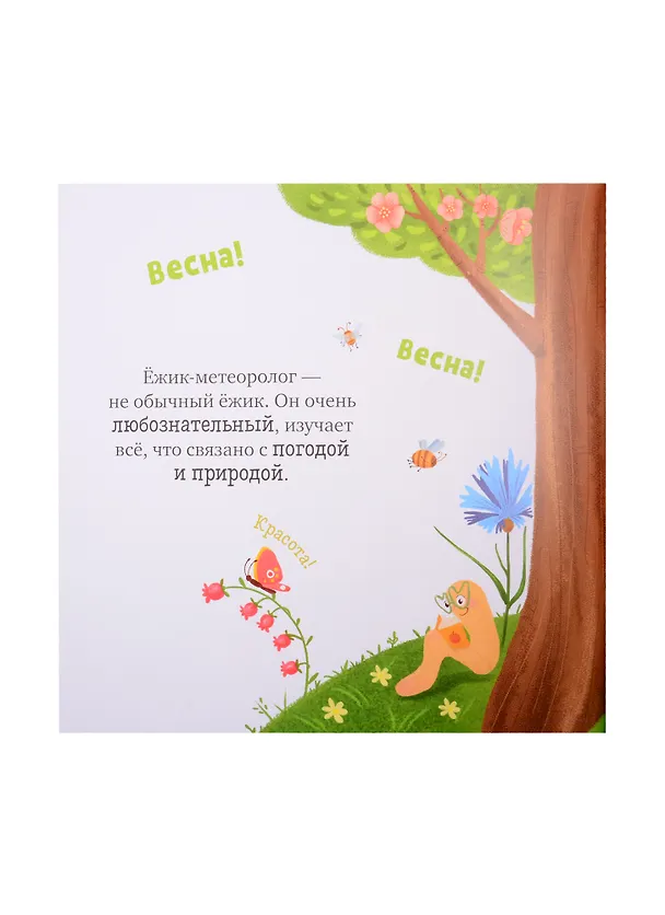 Книга Ёжик встречает весну (Елена Ульева) — 2