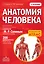 Анатомия человека: 2 издание — 2564057 — 1