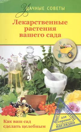 Лекарственные растения вашего сада — 2416435 — 1