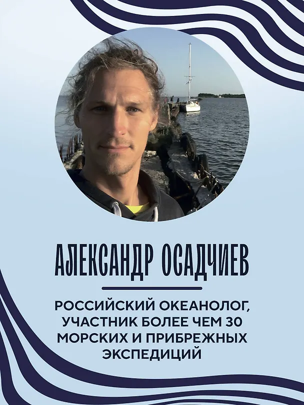 Книга Этот неизвестный океан: как работают приливы, рождаются шторма и живут невидимые создания в морских глубинах (Александр Осадчиев) — 10