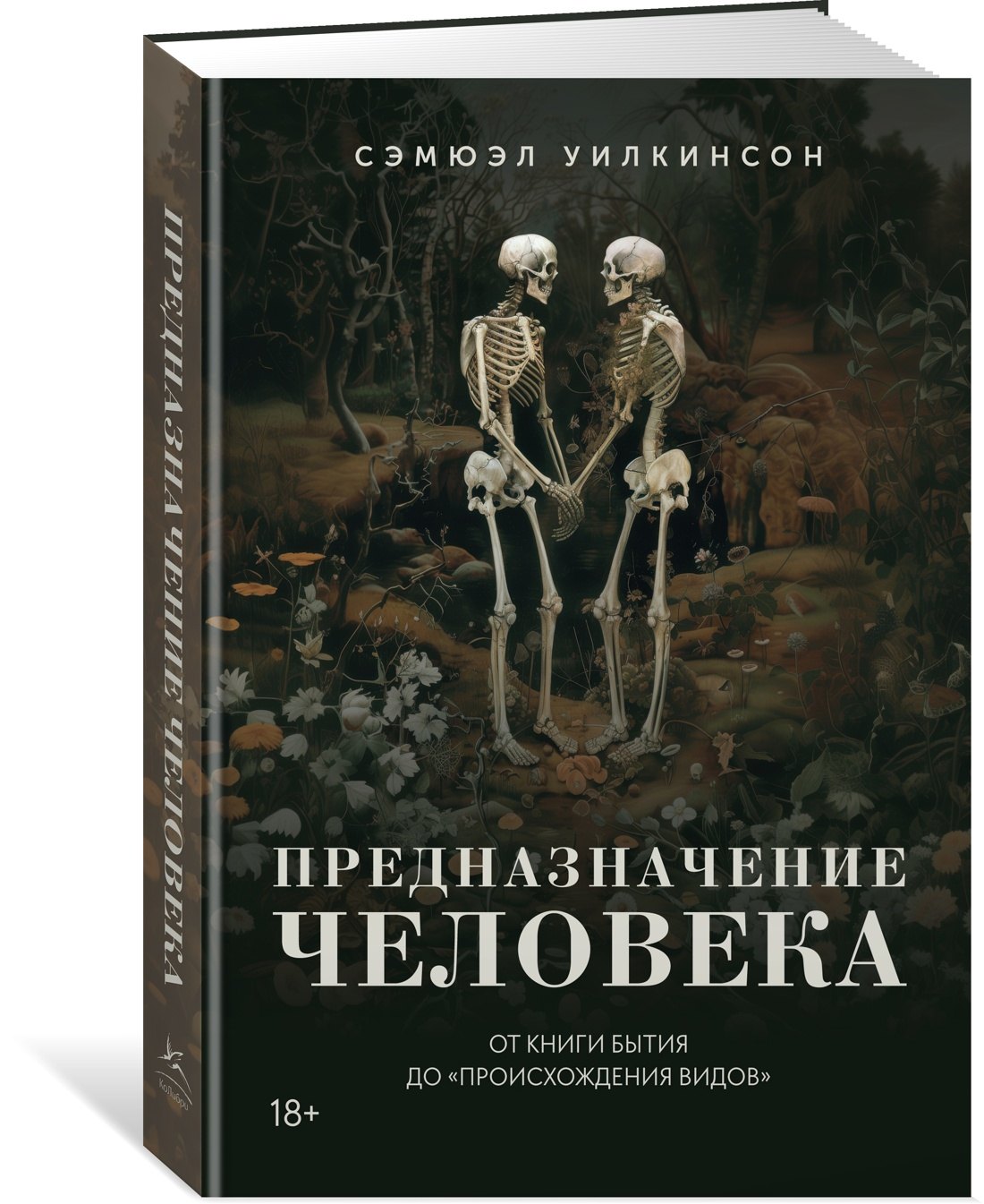 Изображение бумажной книги
