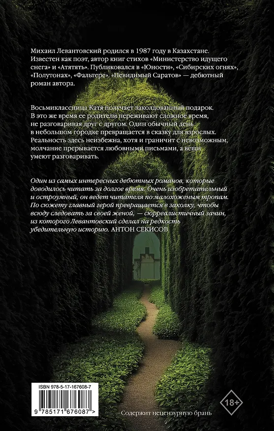 Книга Невидимый Саратов (Михаил Левантовский) — 2