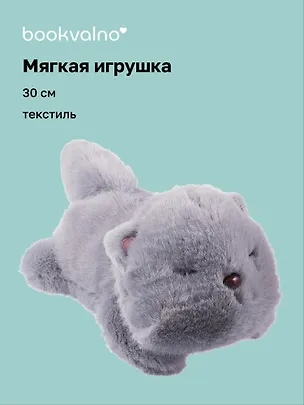 Мягкая игрушка Котик с закрытыми глазками (серый) (30 см), Bookvalno 3075181