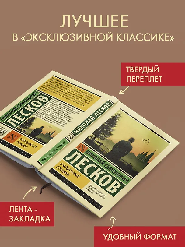 Книга Очарованный странник (Николай Лесков) — 5