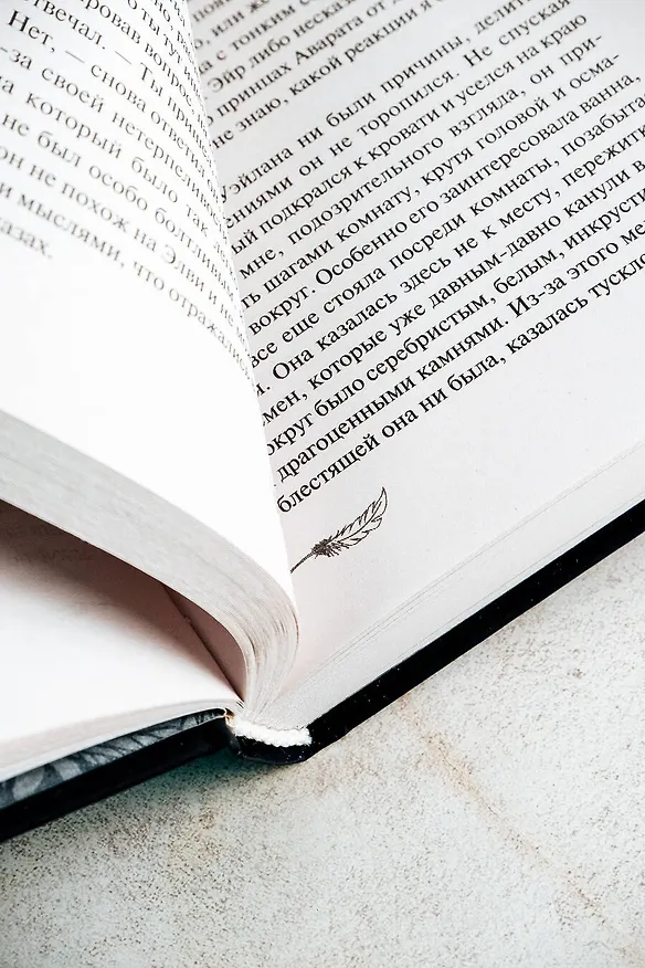 Книга Завеса Звездной пыли и Жестокости (Анали Форд) — 11