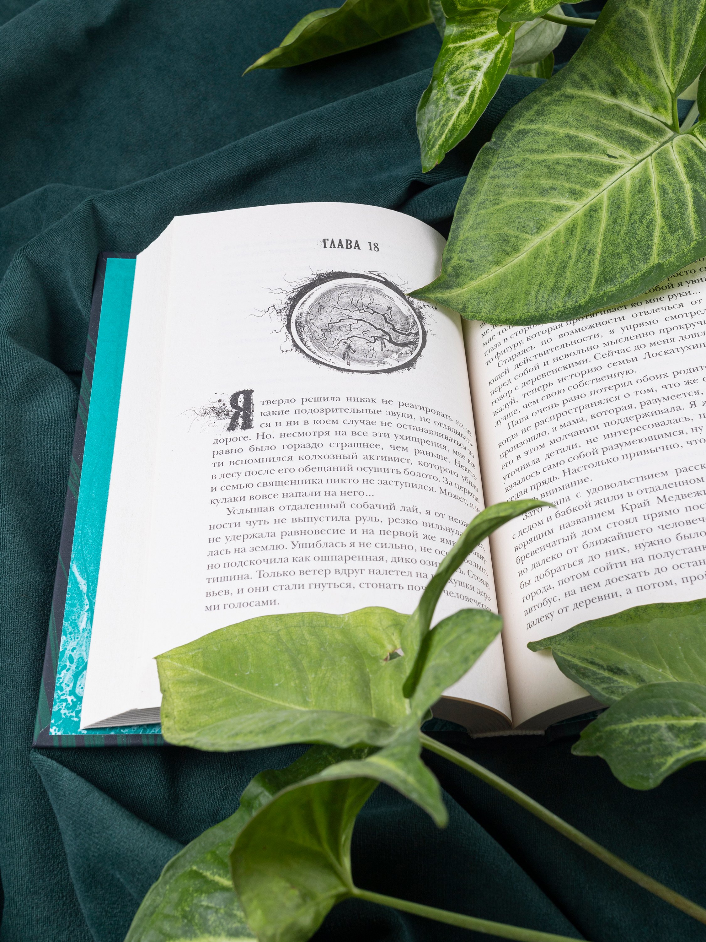 Изображение бумажной книги