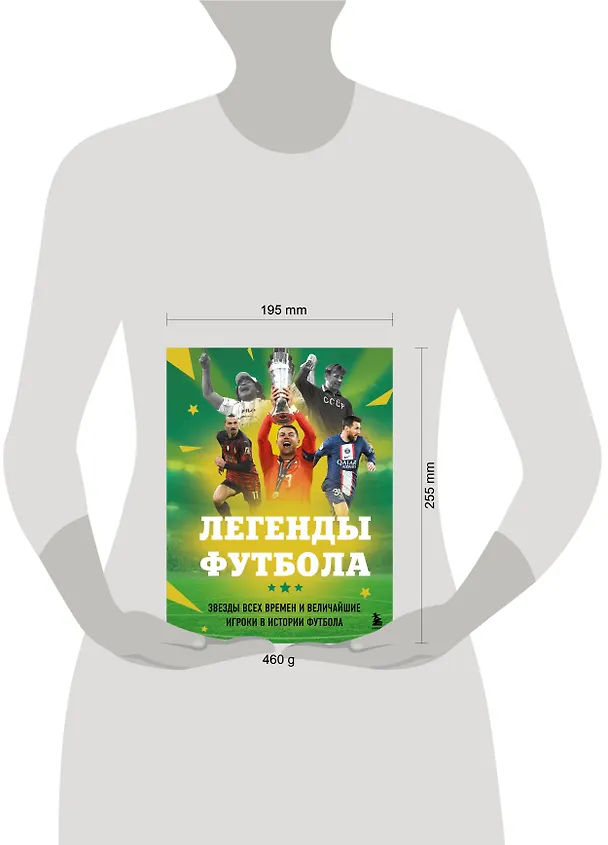 Книга Легенды футбола. Звезды всех времен и величайшие игроки в истории футбола (Руслан Чагаров) — 9