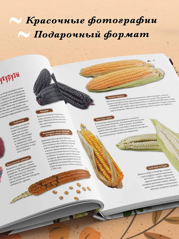 Книга Семена и зерна. Иллюстрированный атлас. Удивительные факты о сельскохозяйственных культурах и их влияние на развитие человечества (Жорж Монторо) — 8