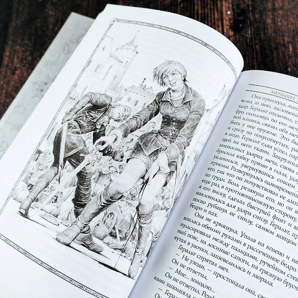 Книга Ведьмак:Последнее желание (Анджей Сапковский) — 11