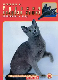 Русская голубая кошка. Содержание и уход (цвет.)