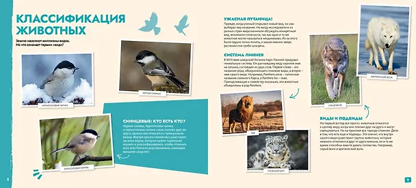 Книга S.O.S. Красная книга (Эманюэль Грундманн) — 8
