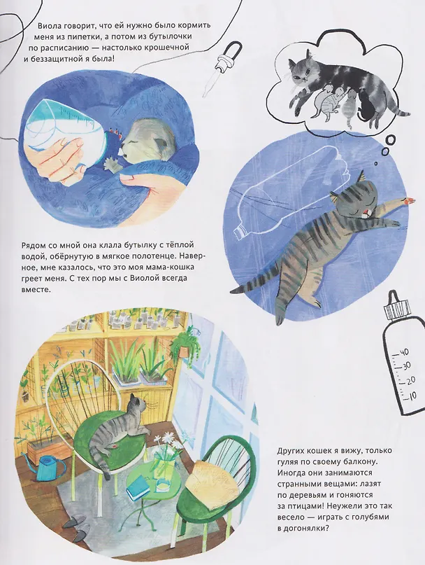 Книга Кошачье досье (Дарья Ярцева) — 4